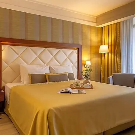 Plaza Hotel 4*