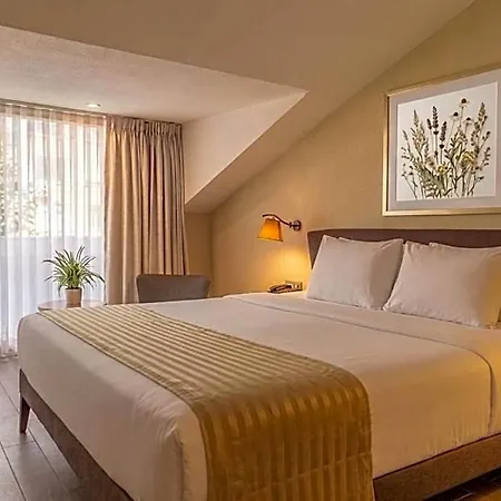 Hotel Plaza 4*